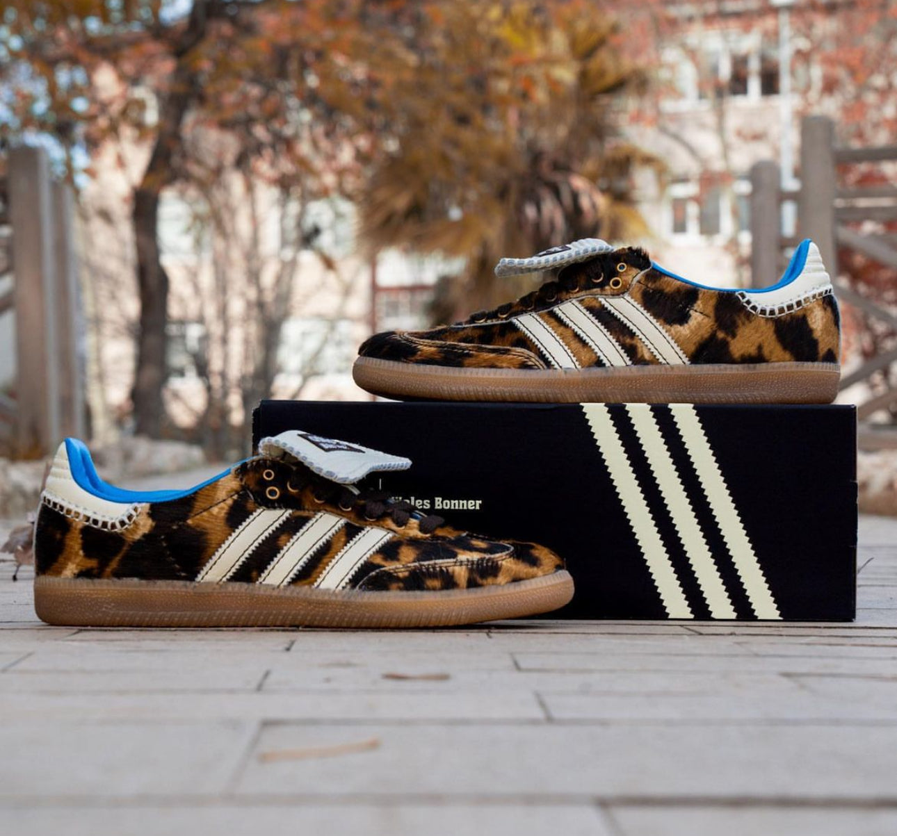 Wales Bonner x Samba Pony “ Leo “