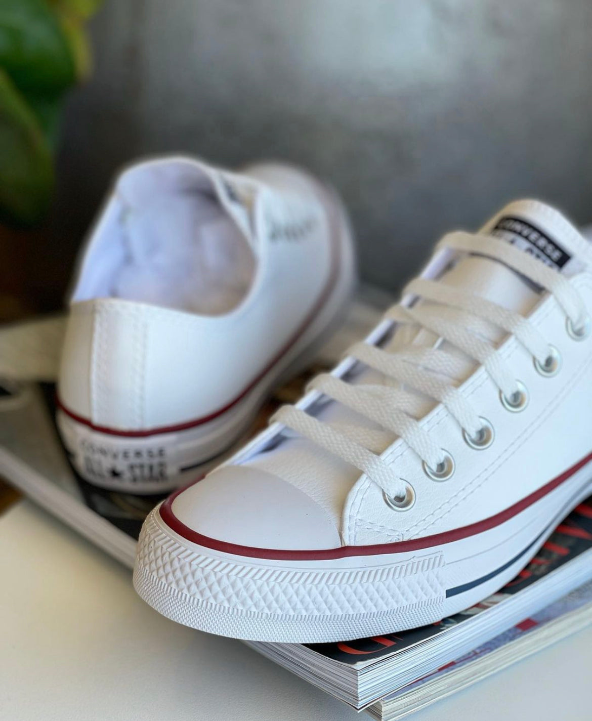 WMNs Converse All Star Low Ankle White