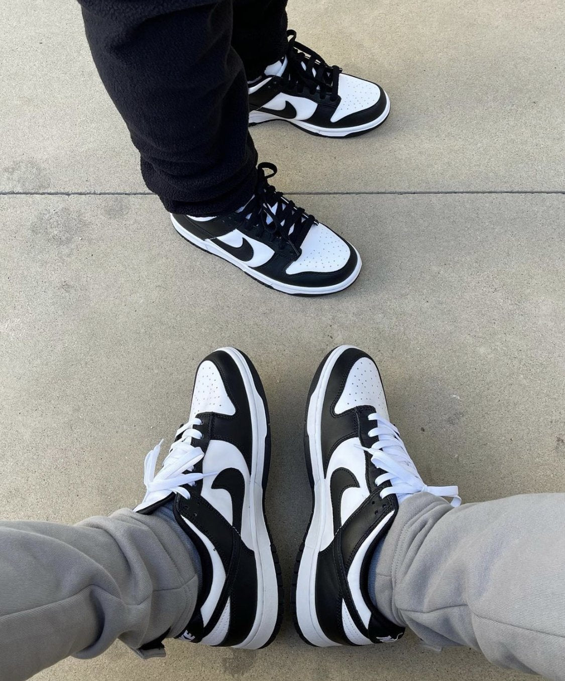 WMNs Sb Dunk Low Panda